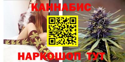 МДПВ Гагарин