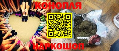 не бодяженный Гай