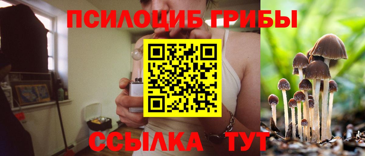 Галлюциногенные грибы мицелий Малоярославец
