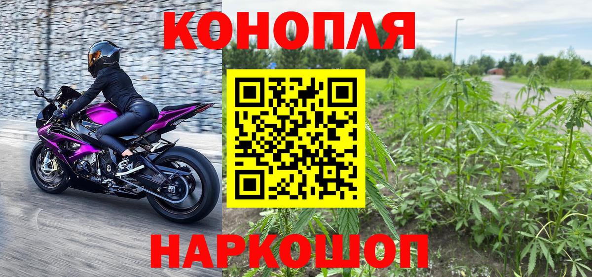 Бошки марихуана THC 21%  Марихуана тримм  Вход с VPN  Бошки марихуана OG Kush  Малоярославец 